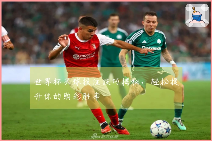 世界杯买球投注技巧揭秘，轻松提升你的购彩胜率