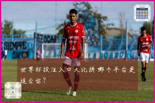 世界杯投注入口大比拼 哪个平台更适合你？