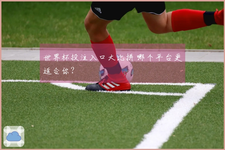 世界杯投注入口大比拼 哪个平台更适合你？